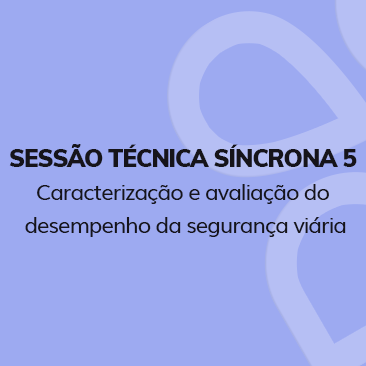 Caracterização e avaliação do desempenho da segurança viária